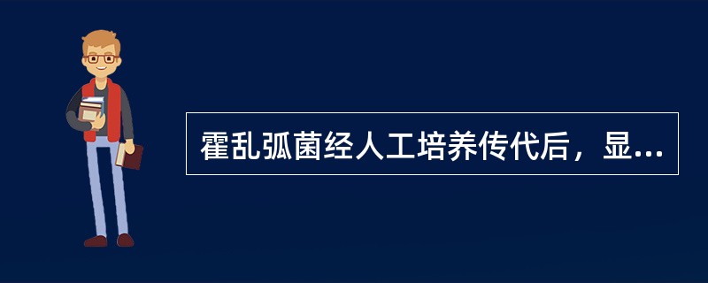 霍乱弧菌经人工培养传代后，显微镜下观察是