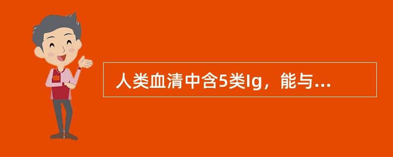  人类血清中含5类Ig，能与肥大细胞膜结合的是