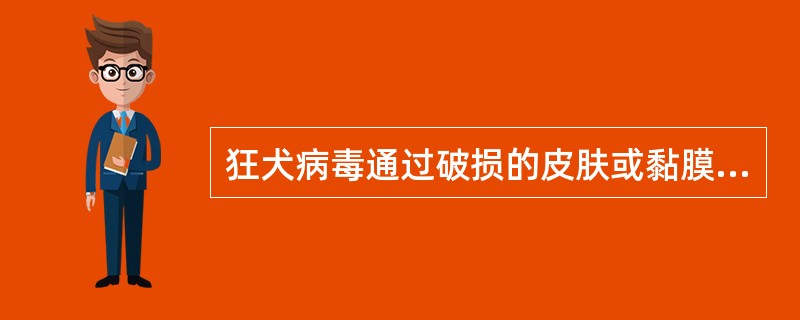 狂犬病毒通过破损的皮肤或黏膜侵入人体后通过哪条途径上行到中枢神经系统？（　　）