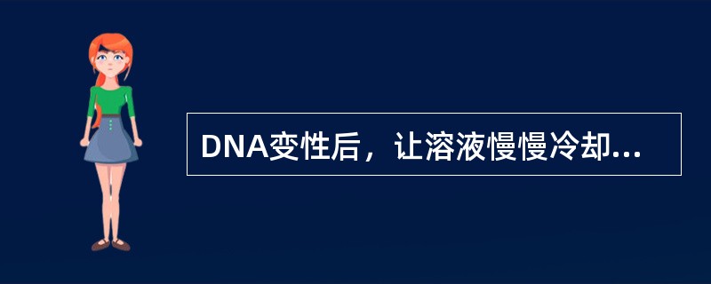 DNA变性后，让溶液慢慢冷却。这时