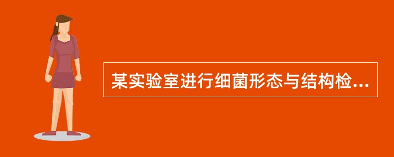 某实验室进行细菌形态与结构检查，一位操作人员对其所承担的任务描述如下，请问哪项是不正确的
