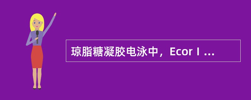 琼脂糖凝胶电泳中，EcorⅠ酶切入DNA的用途