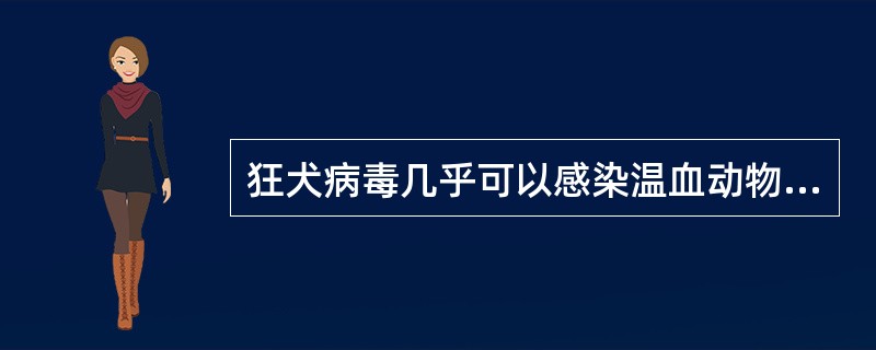 狂犬病毒几乎可以感染温血动物，但造成人类感染的主要传染源是下列哪一种