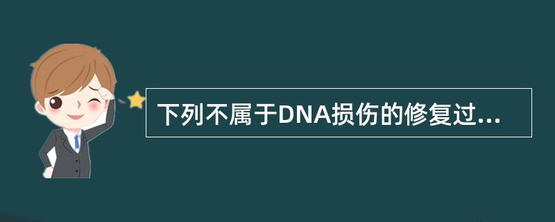 下列不属于DNA损伤的修复过程的是（　　）。