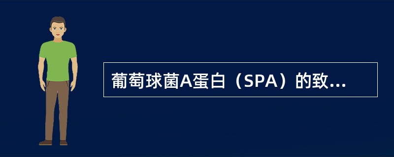葡萄球菌A蛋白（SPA）的致病作用是（　　）。