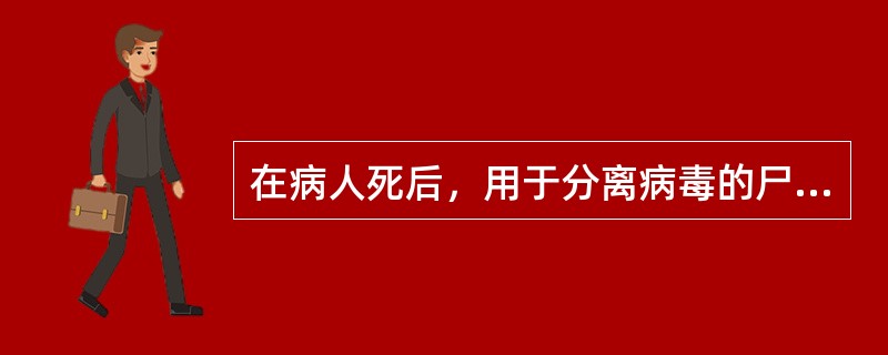 在病人死后，用于分离病毒的尸体标本的采集时限是()。