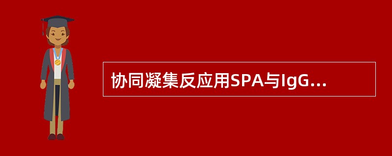 协同凝集反应用SPA与IgG结合，其中参与结合的部位是IgG的