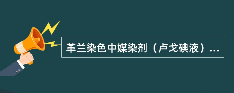 革兰染色中媒染剂（卢戈碘液）的作用是
