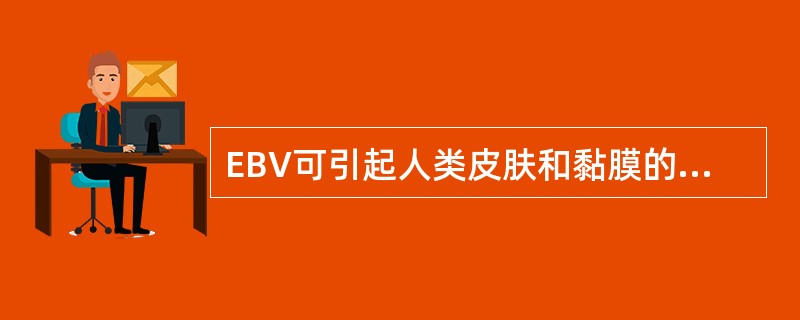 EBV可引起人类皮肤和黏膜的疱疹样病变，与其密切相关的疾病还有