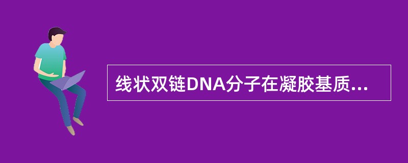 线状双链DNA分子在凝胶基质中的迁移速率与碱基对数的关系是