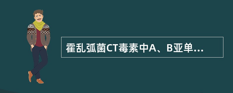 霍乱弧菌CT毒素中A、B亚单位的数量比