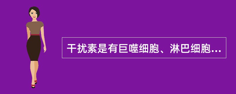 干扰素是有巨噬细胞、淋巴细胞和细胞产生的具有抗病毒活性的