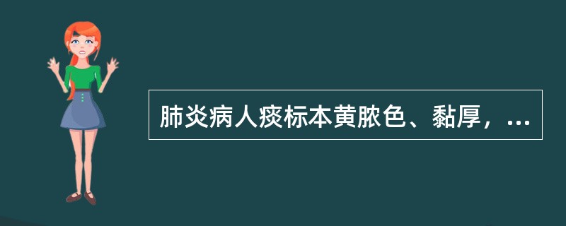 肺炎病人痰标本黄脓色、黏厚，一般是何种细菌感染