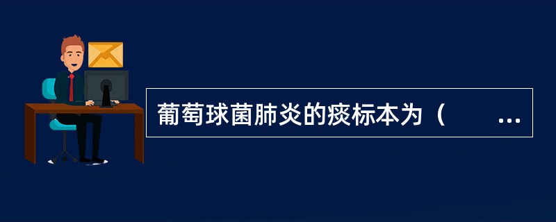 葡萄球菌肺炎的痰标本为（　　）。