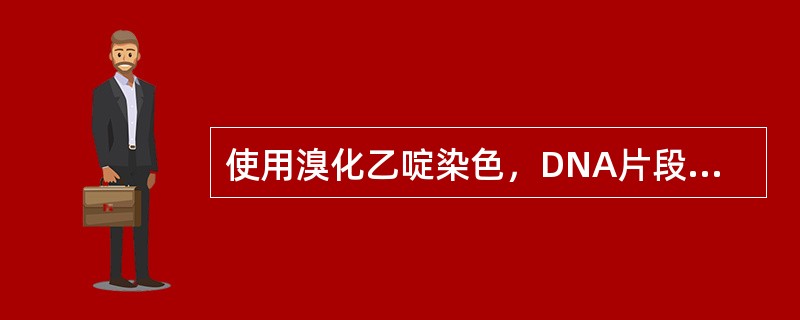 使用溴化乙啶染色，DNA片段聚集的地方，在紫外光下可以显示发橙色荧光的条带，结合使用多种限制性内切酶，通过综合分析将这些片段，作出DNA限制性内切酶酶切图谱，又称为()。