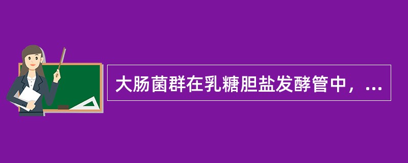 大肠菌群在乳糖胆盐发酵管中，下列反应正确的是()。