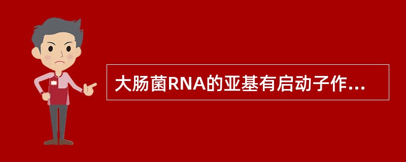 大肠菌RNA的亚基有启动子作用，RNA聚合酶由()。