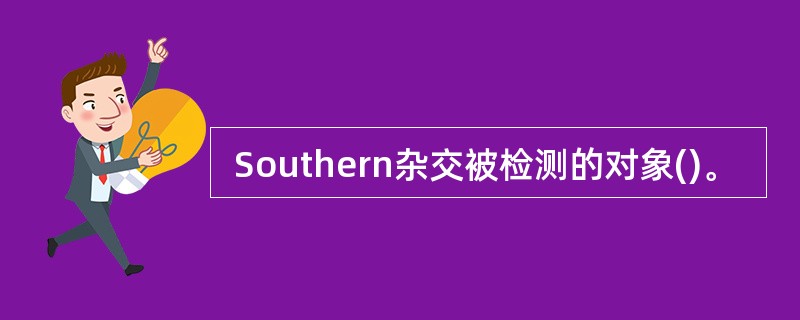  Southern杂交被检测的对象()。