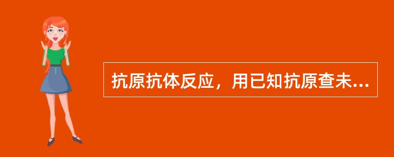 抗原抗体反应，用已知抗原查未知抗体，抗体过量时