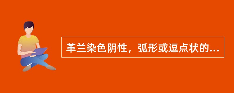 革兰染色阴性，弧形或逗点状的细菌是（　　）。