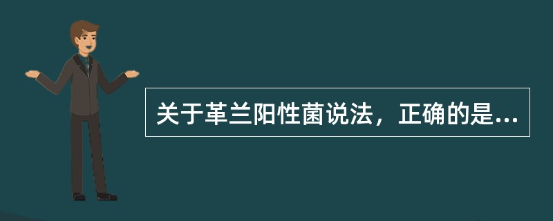 关于革兰阳性菌说法，正确的是（　　）。