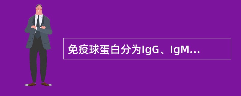 免疫球蛋白分为IgG、IgM、IgA、IgE和IgD5类，其主要依据是