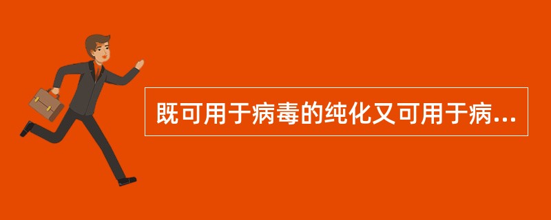 既可用于病毒的纯化又可用于病毒悬液中感染病毒含量的测定的实验技术是（　　）。