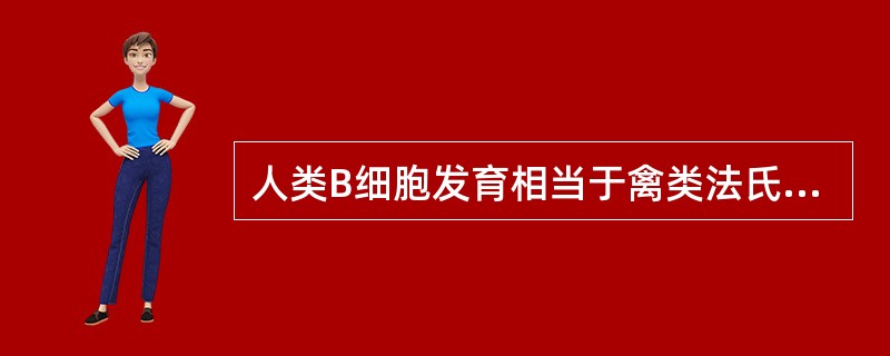 人类B细胞发育相当于禽类法氏囊的器官是（　　）。