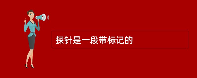 探针是一段带标记的