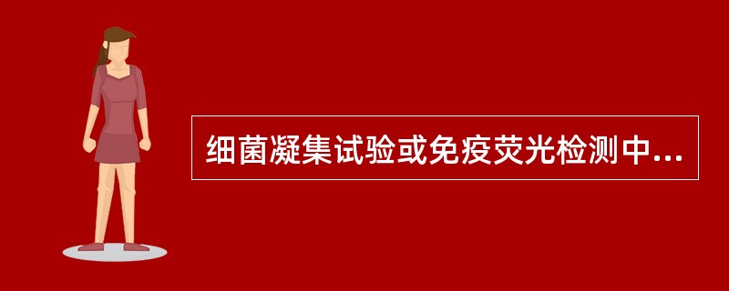 细菌凝集试验或免疫荧光检测中所用的抗原是