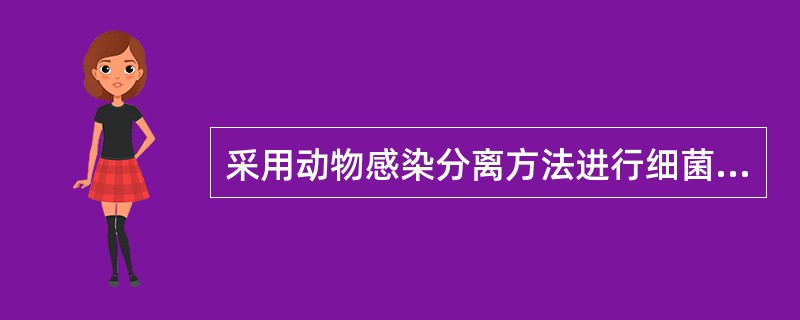 采用动物感染分离方法进行细菌分离是