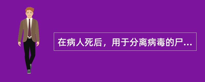 在病人死后，用于分离病毒的尸体标本的采集时限是（　　）。