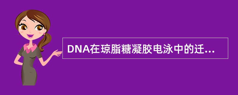 DNA在琼脂糖凝胶电泳中的迁移方向是（　　）。