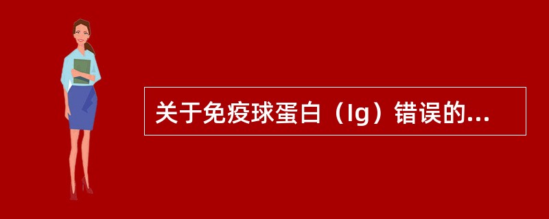 关于免疫球蛋白（Ig）错误的是（　　）。