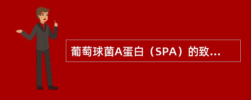 葡萄球菌A蛋白（SPA）的致病作用是（　　）。