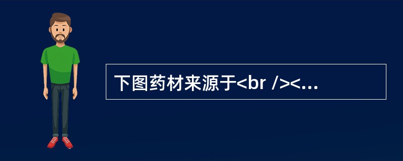 下图药材来源于<br /><img src="https://img.zhaotiba.com/fujian/20220819/nh4txcfgrwj.png"