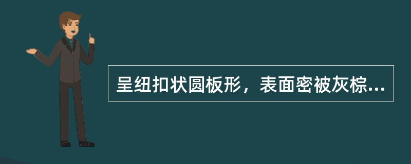 呈纽扣状圆板形，表面密被灰棕色或灰绿色绢状茸毛，自中间向四周呈辐射状排列的药材是