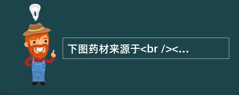 下图药材来源于<br /><img border="0" src="https://img.zhaotiba.com/fujian/20220819/j