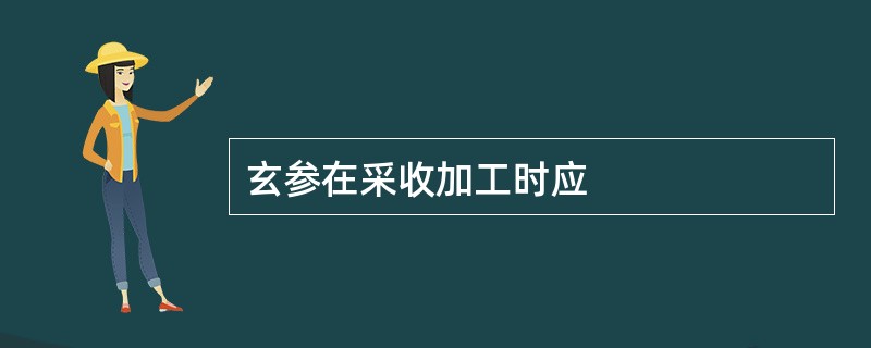 玄参在采收加工时应