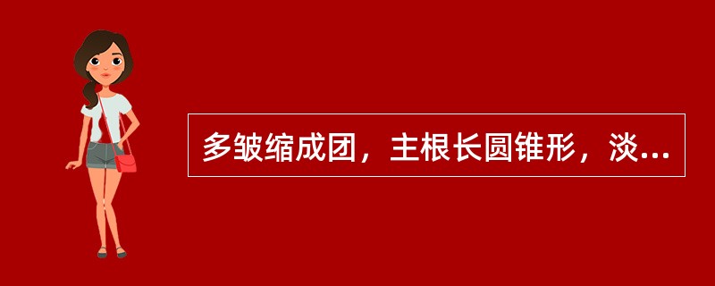 多皱缩成团，主根长圆锥形，淡黄棕色，叶基生，灰绿色，叶片展开后呈披针形或卵状披针形，蒴果椭圆形或3裂的药材是