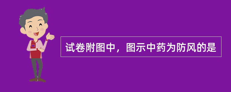 试卷附图中，图示中药为防风的是