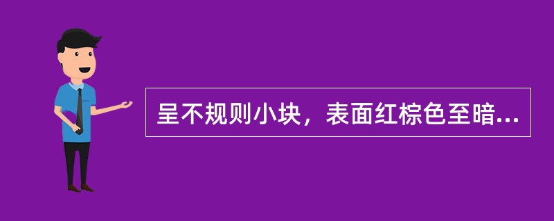 呈不规则小块，表面红棕色至暗棕红色，有的可见圆形突起或凹窝的药材是