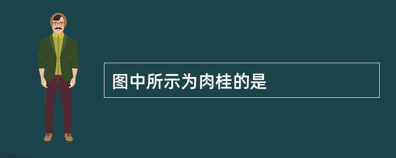 图中所示为肉桂的是