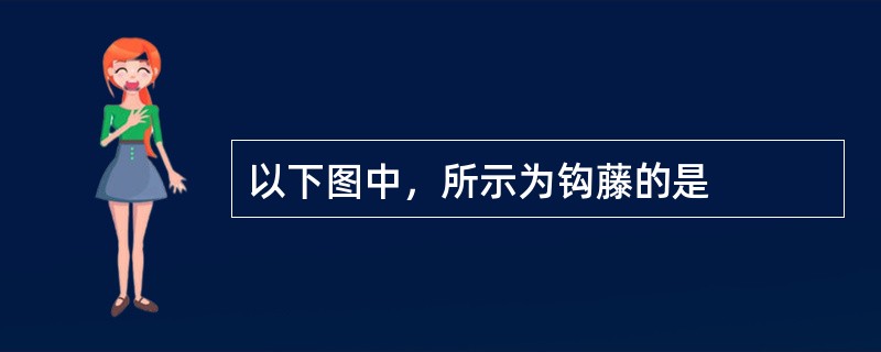 以下图中，所示为钩藤的是