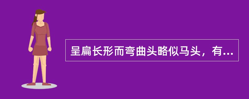 呈扁长形而弯曲头略似马头，有冠状突起，具管状长吻，口小，无牙，两眼深陷，该药材是