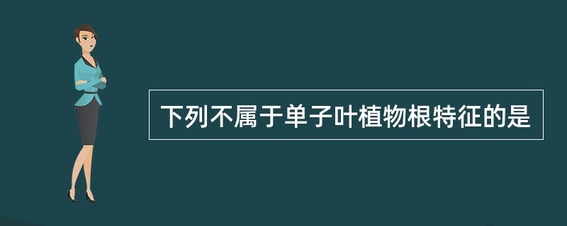 下列不属于单子叶植物根特征的是