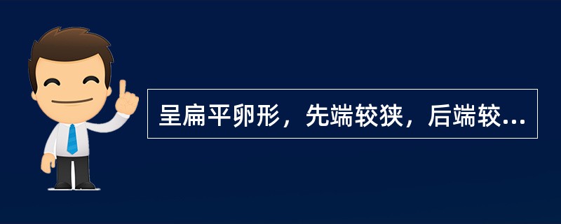 呈扁平卵形，先端较狭，后端较宽，背后紫褐色，有光泽，无翅的药材是（　　）。