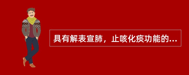 具有解表宣肺，止咳化痰功能的成药是