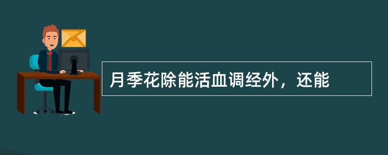 月季花除能活血调经外，还能