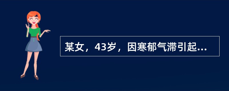 某女，43岁，因寒郁气滞引起胸闷.脘腹胀痛.不思饮食，治当行气止痛.开郁醒脾，宜选用的药是